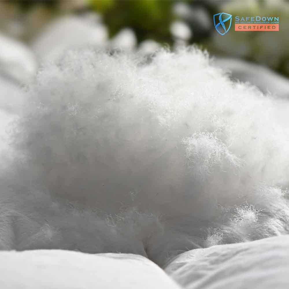 SafeDown Gallery Image 7