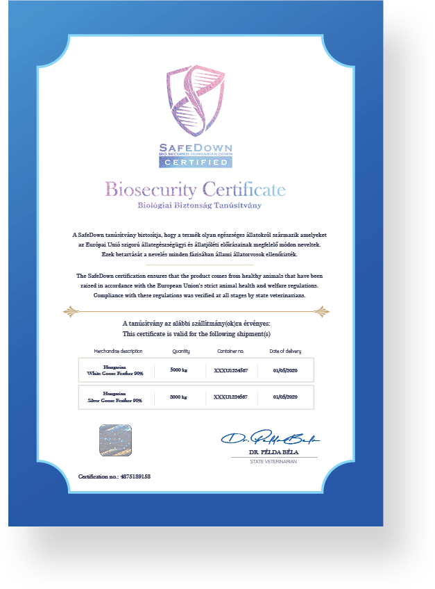 SafeDown Certification Front