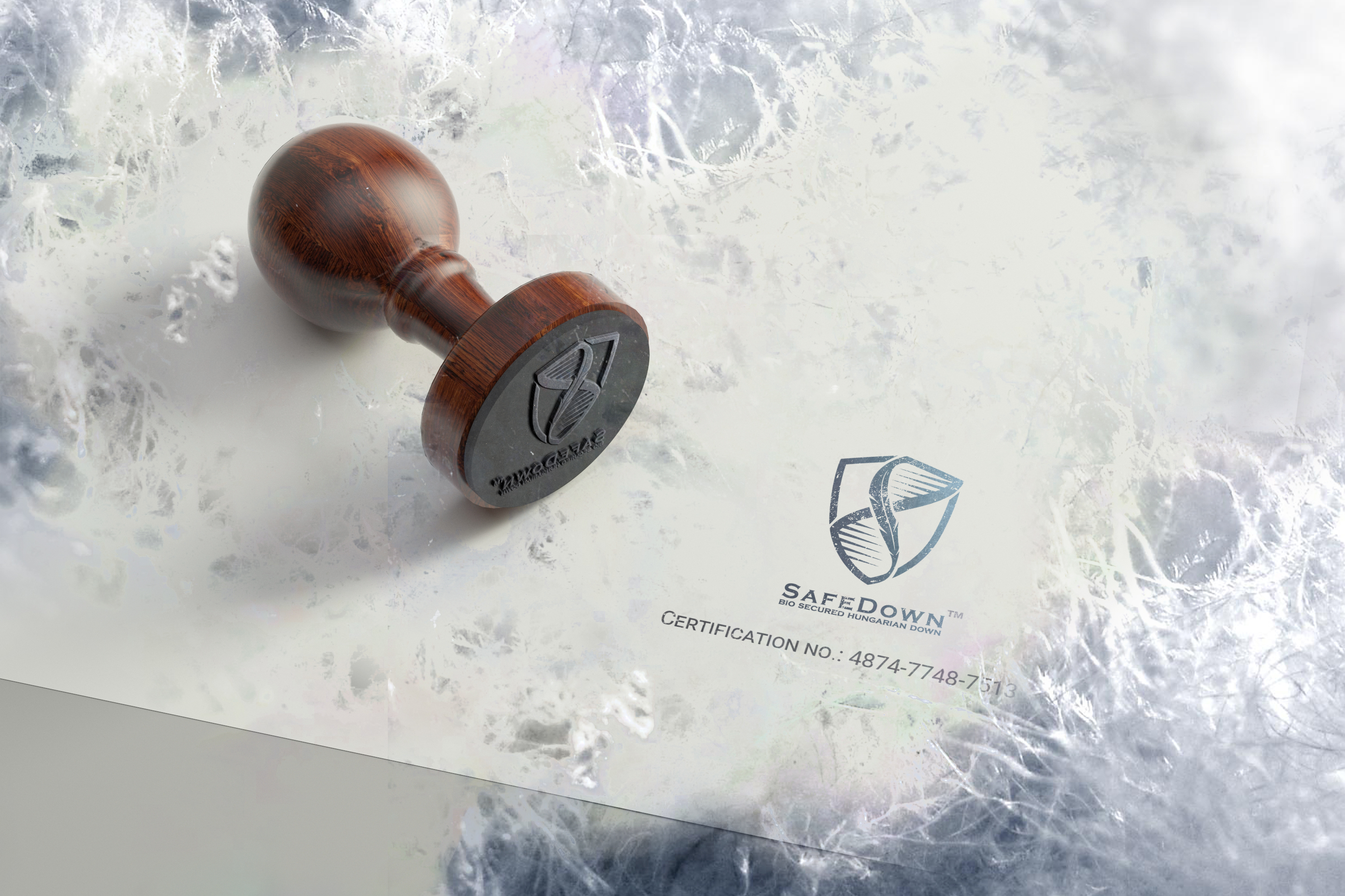 Quality Assurance Icon