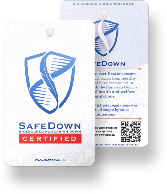 SafeDown Tag Examples